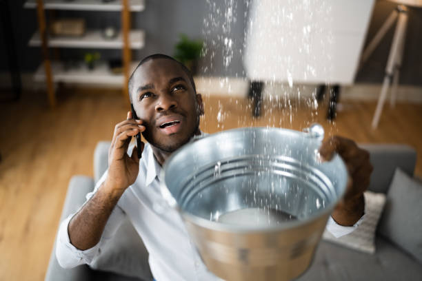 Best Water damage cleanup near me  in Danielson, CT