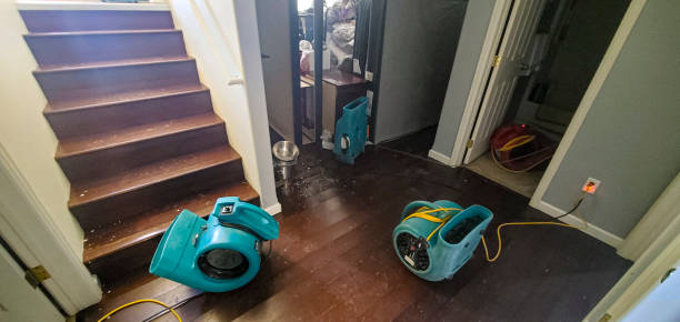 Best Basement water damage restoration  in Danielson, CT