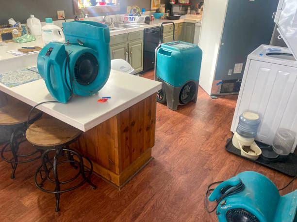 Best Sewage cleanup and water damage restoration  in Danielson, CT