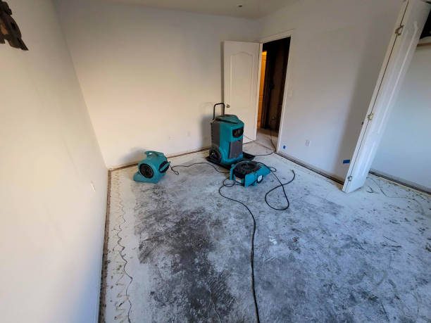  Danielson, CT Water damage restoration Pros