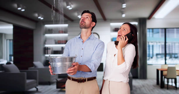 Best Water damage restoration services  in Danielson, CT