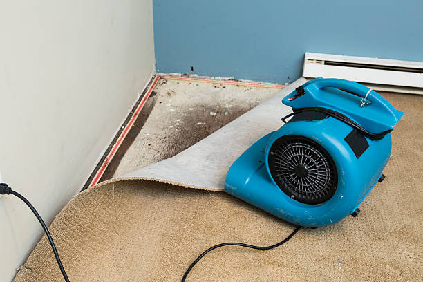 Best Ceiling water damage repair  in Danielson, CT